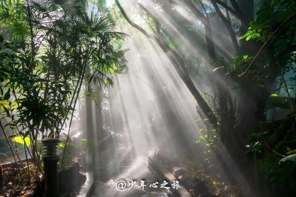 探索知识星球摩羯座的幸运色是什么颜色,解锁更广阔的知识世界!