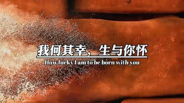 【新闻周刊】让你停不下来的知识星球面粉和土豆怎么做好吃